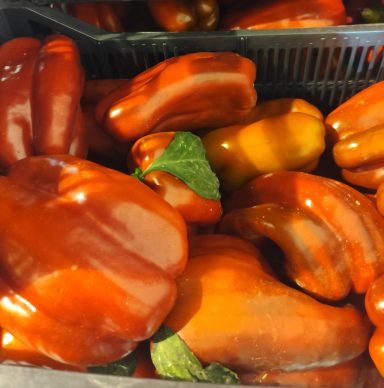 Pimiento Rojo Distribuidor en Valencia