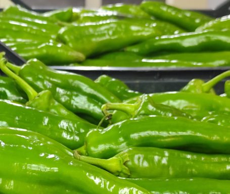 Pimientos verdes frescos en una bandeja.