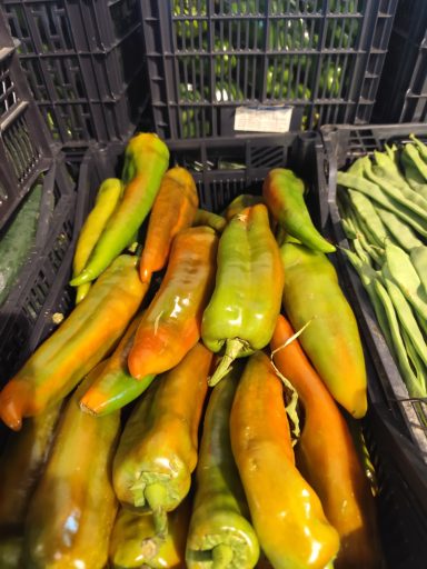 Pimientos de varios colores, apilados en cestas de plástico.