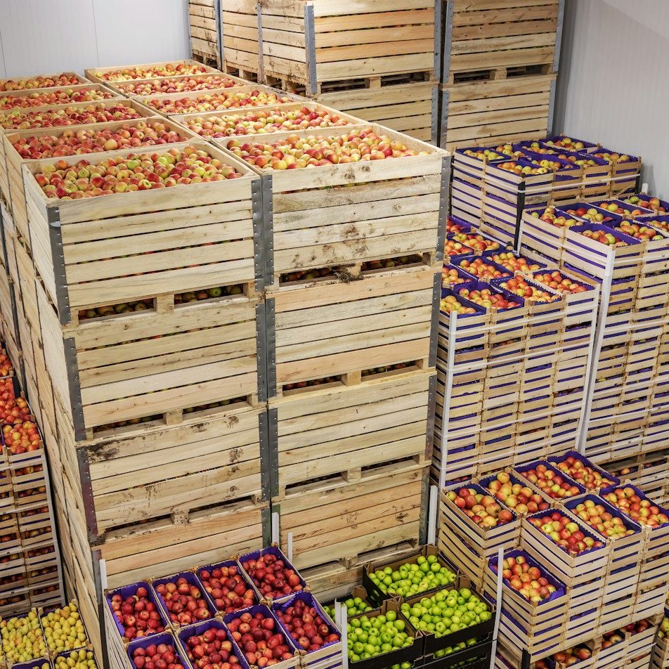 Estantes de madera con cajas llenas de frutas de varios colores.