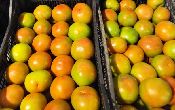 Manzanas verdes y naranjas apiladas en cestas.